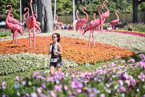 BIB: 
                            <button type="button" onclick="openModal(27794200)" class="btn btn-primary btn-sm float-right btn-popup" data-toggle="modal" data-target=".modal-high-quality">
                        <i class="fas fa-shopping-cart"></i> Add to Cart
                    </button>
                                            <button type="button" onclick="isThisMe(27794200, true)" class="btn btn-success btn-sm float-right btn-popup btn-isme hidden" data-toggle="tooltip" data-placement="bottom" title="นี่คือรูปของคุณใช่ไหม คลิกที่นี่เพื่อเอาเข้าอัลบั้ม">
                        <i class="fas fa-plus"></i> Add to album
                    </button>
                    <button type="button" onclick="isThisMe(27794200, false)" class="btn btn-warning btn-sm float-right btn-popup btn-isnotme hidden">
                        <i class="fas fa-ban"></i> Remove from album
                    </button>